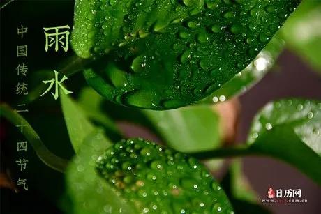 虞美人
春韵
花是春天的风景，蜂蝶喜飞舞，给人信心和力量，花是诗情画意、逛花海。