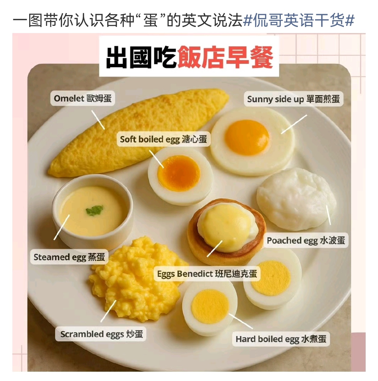 尚雯婕不会翻译皮蛋我们的美食太复杂了，都有把尚雯婕难住的翻译  百年蛋和千年蛋差