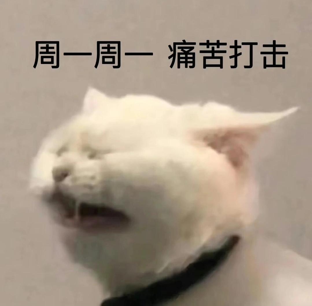 关于周一的精神状态这周还要补班，可恶的调休根本不想调休，每周多上一天班就好像连续