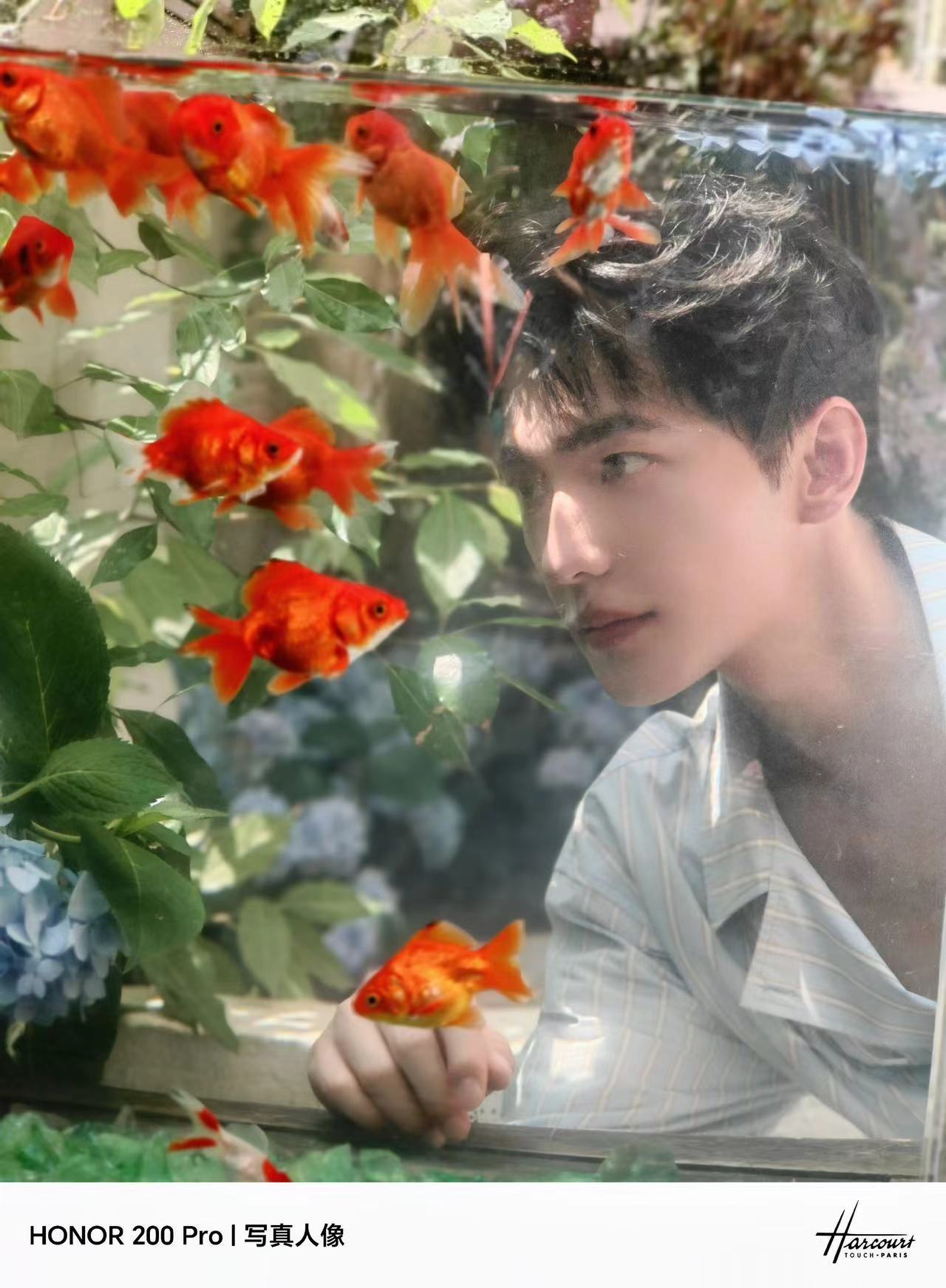 #杨洋金鱼少年##杨洋夏日花美男随拍#杨洋夏日花美男随拍，真好看 ​​​
