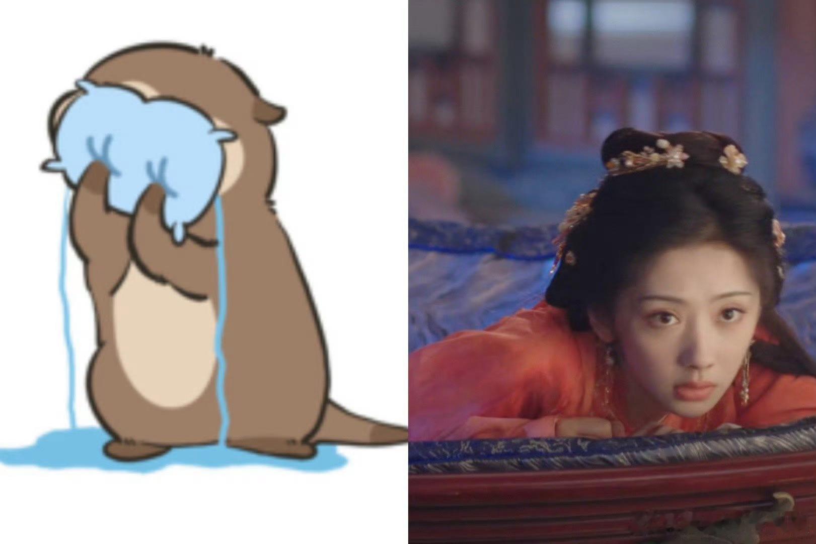 内娱第一个水獭塑女主《献鱼》王影璐演的廖停雁太像水獭了！圆眼懵懂，委屈缩成团，制