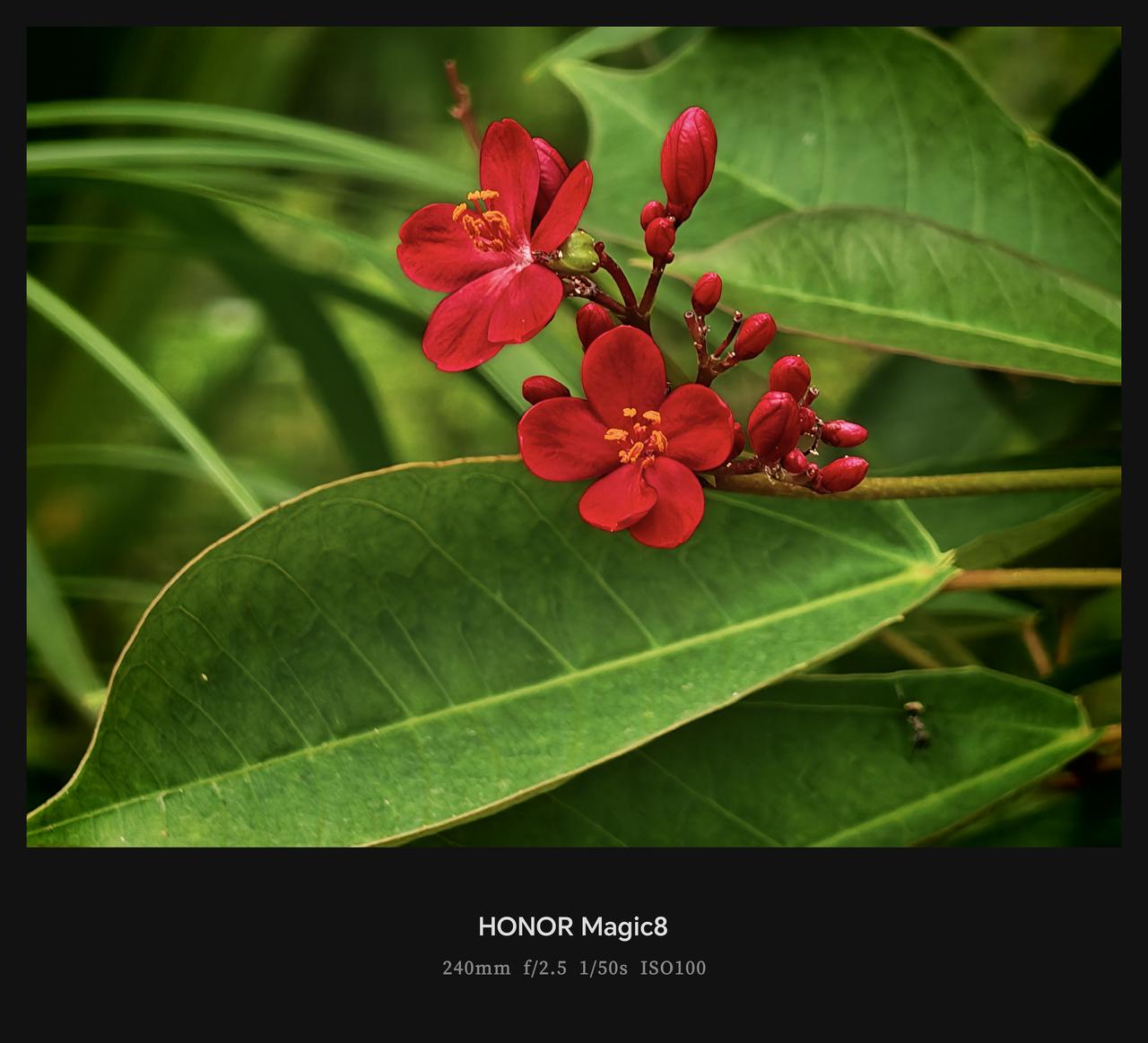 荣耀Magic 8｜阴天，在没阳光的冬天
即便是阴天，质感模式下荣耀Magic8