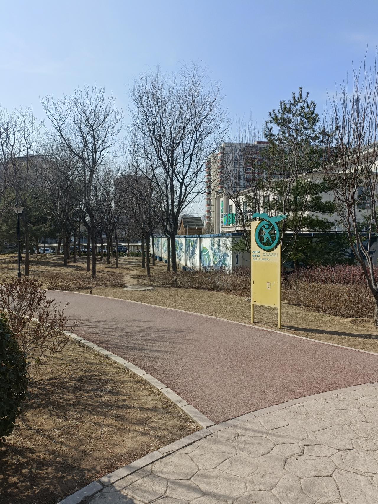 分享我手机里望京体育公园的树。大望京公园有棵400年的国槐，被称为“胜利树”。它