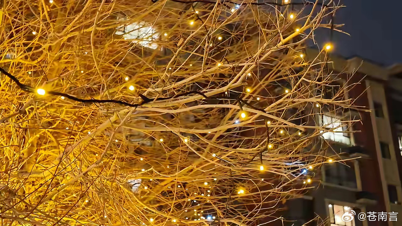 专家建议工作日缩至4天专家建议优化现有调休制度，减少不合理拼假，同时在有条件的行