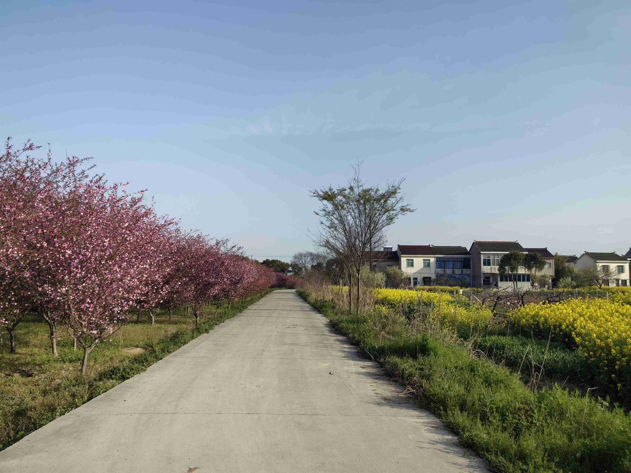今天去外婆家扫墓，但最后的最后，只有我、老弟和舅舅三个人来到外公外婆坟前祭奠。