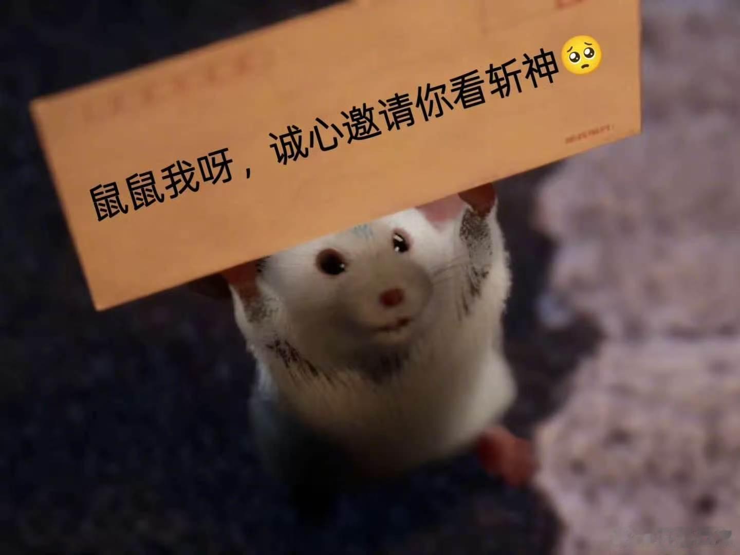 斩神2沧南神战全员开大 连环谜案揭开外神的歹毒谋划，沧南便是决战之地。为守护湿婆