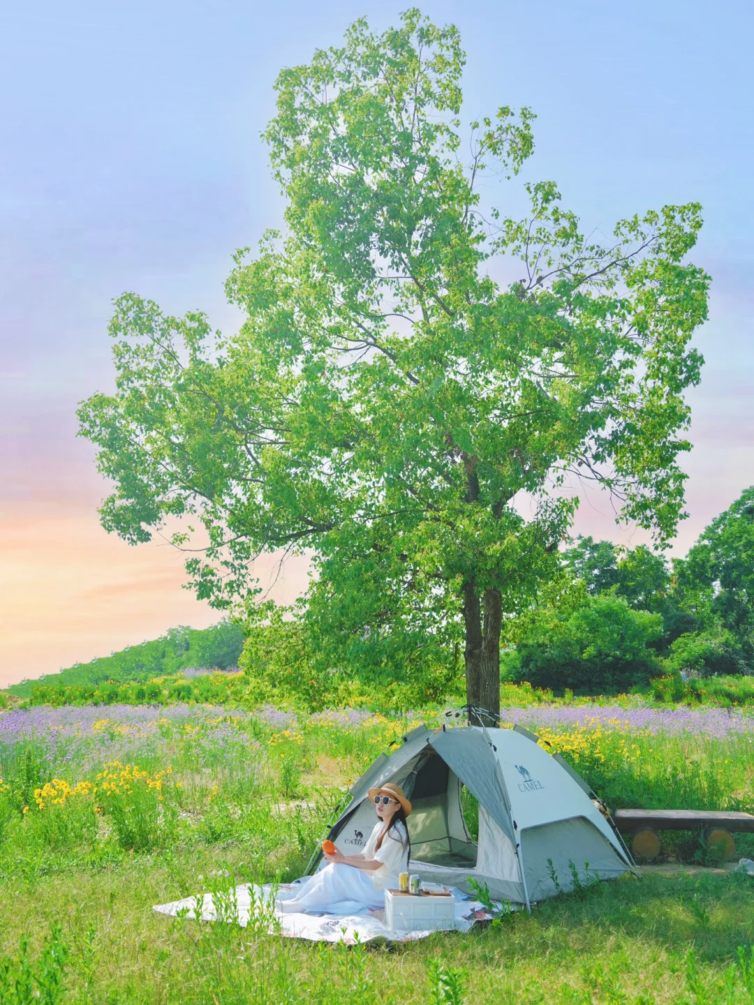 武汉露营丨我的帐篷被花海包围啦⛺️🌼