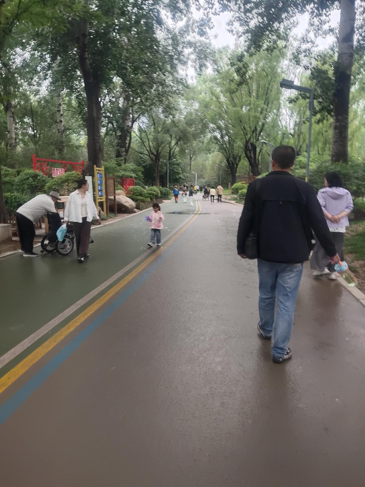 今天上午下雨没去公园，到了下午雨才停了，我换了件厚外套，便去公园遛达了两圈。虽然