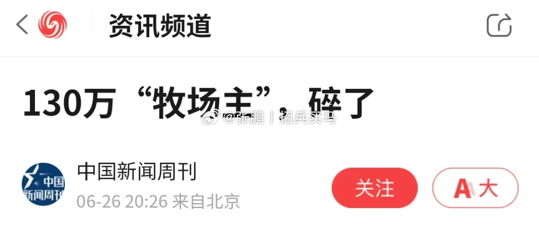 2004年，喜剧演员高秀敏开始频繁给一个叫“万里大造林”的项目做广告。当时官方宣