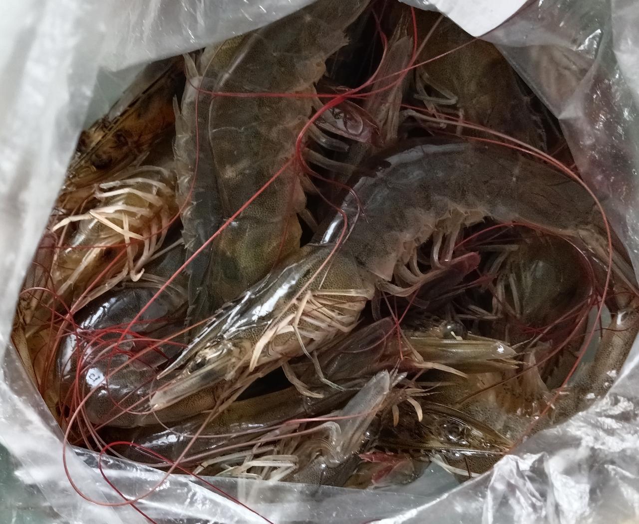 这些天真的有些乏了，自打发现老伴的伤病后，要上网翻查相关资料，每日的营养搭配、伤