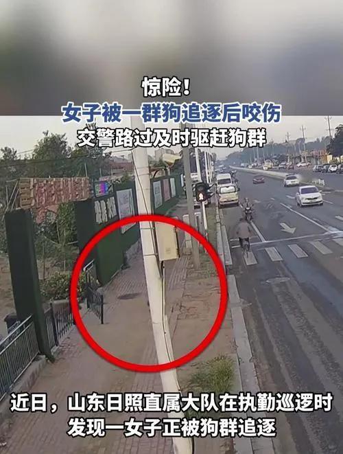 交警及时救出该女子被野狗咬伤
一名女子在山东日照被野狗咬伤，交警及时救出。具体情