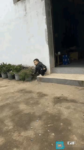 小宝宝独自蹲在家门口台阶玩耍，四处张望后，一下子被台阶边紫红色小花吸引住了。
 