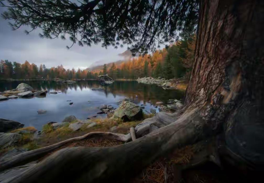 亲家之间，这层窗户纸千万别捅破：一旦说破，儿女的婚姻就完了！

这话听着有点绝对