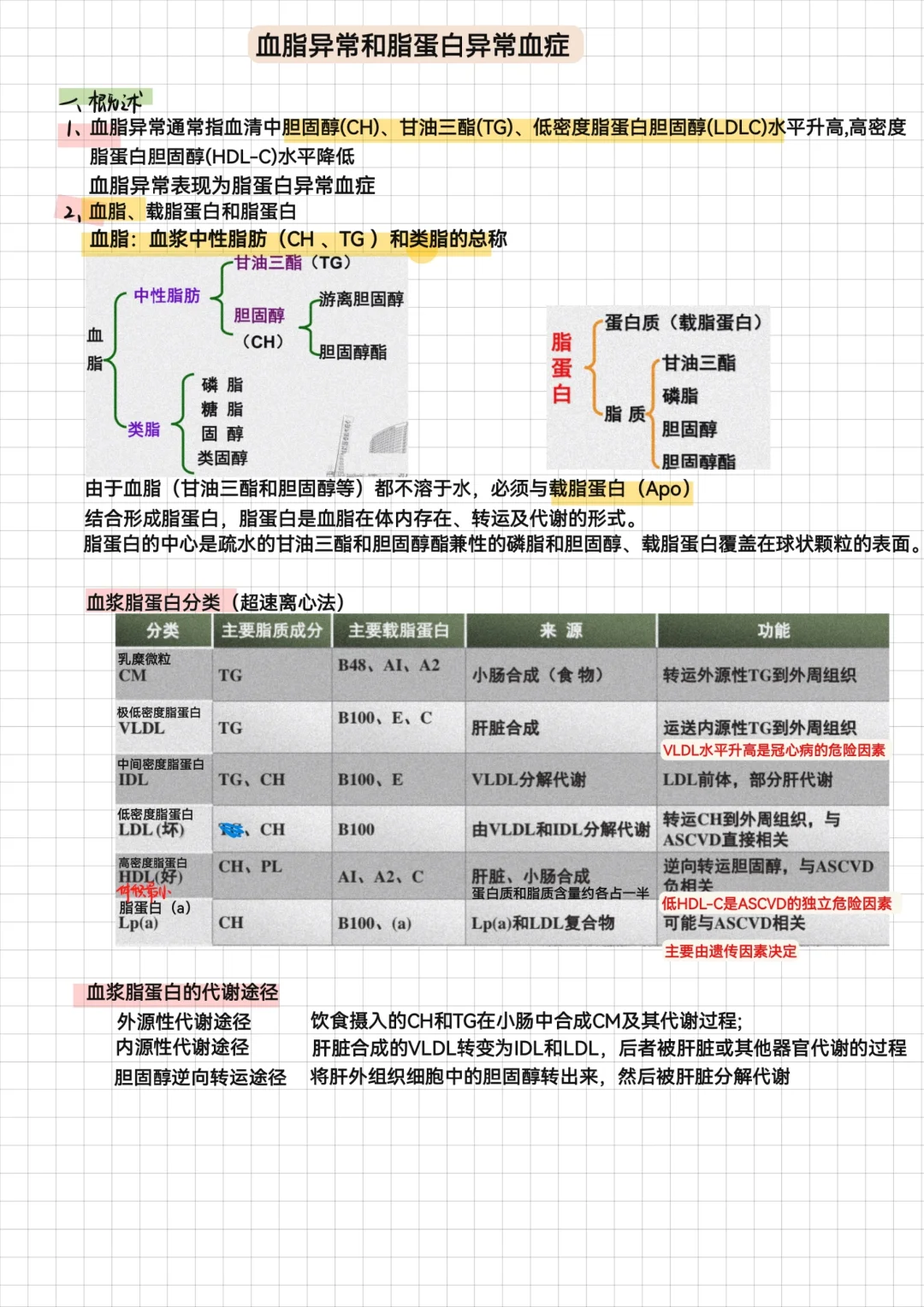 内科学-血脂异常+骨质疏松+肥胖症