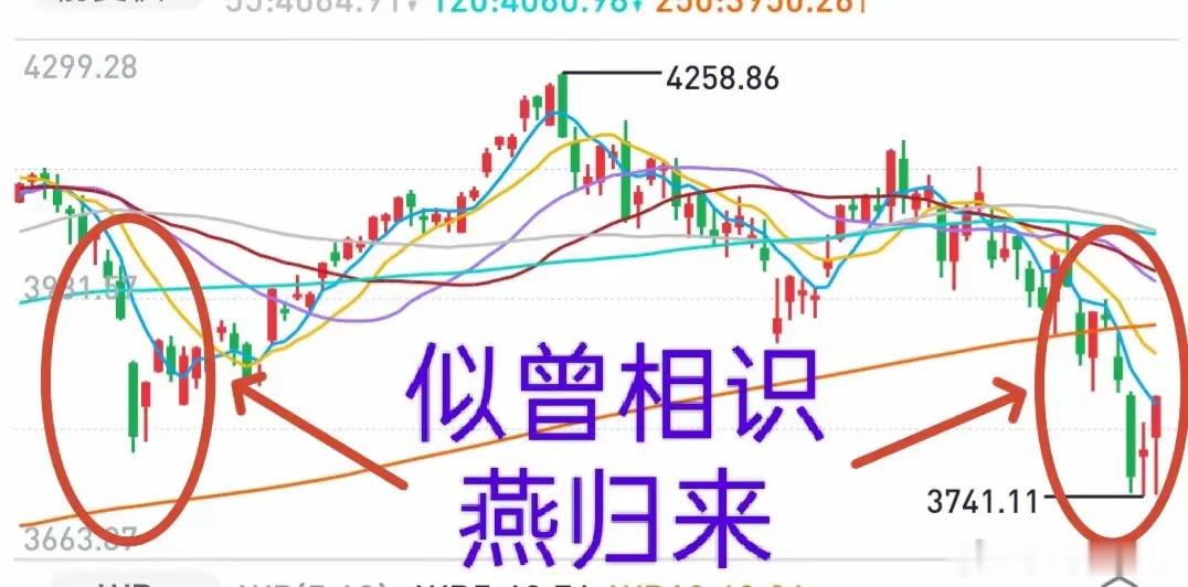A股：一阳改三观，转为看多的投资者又多了起来。反弹就是反弹，不是反转，市场还不具
