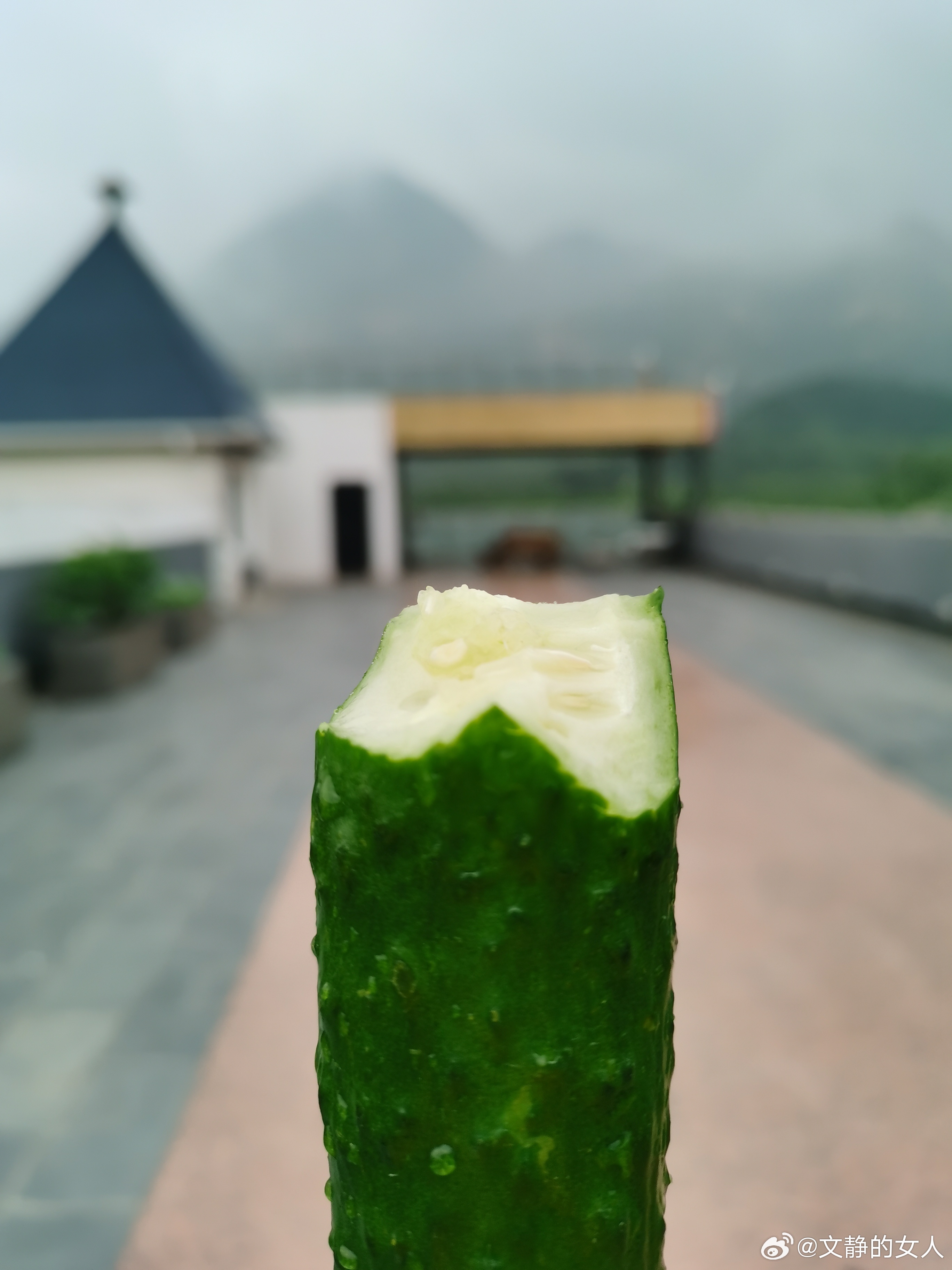 生活手记 早晨吃过早餐在露台走了六千多步，汗流浃背，锻炼之后吃了一根黄瓜。 北京