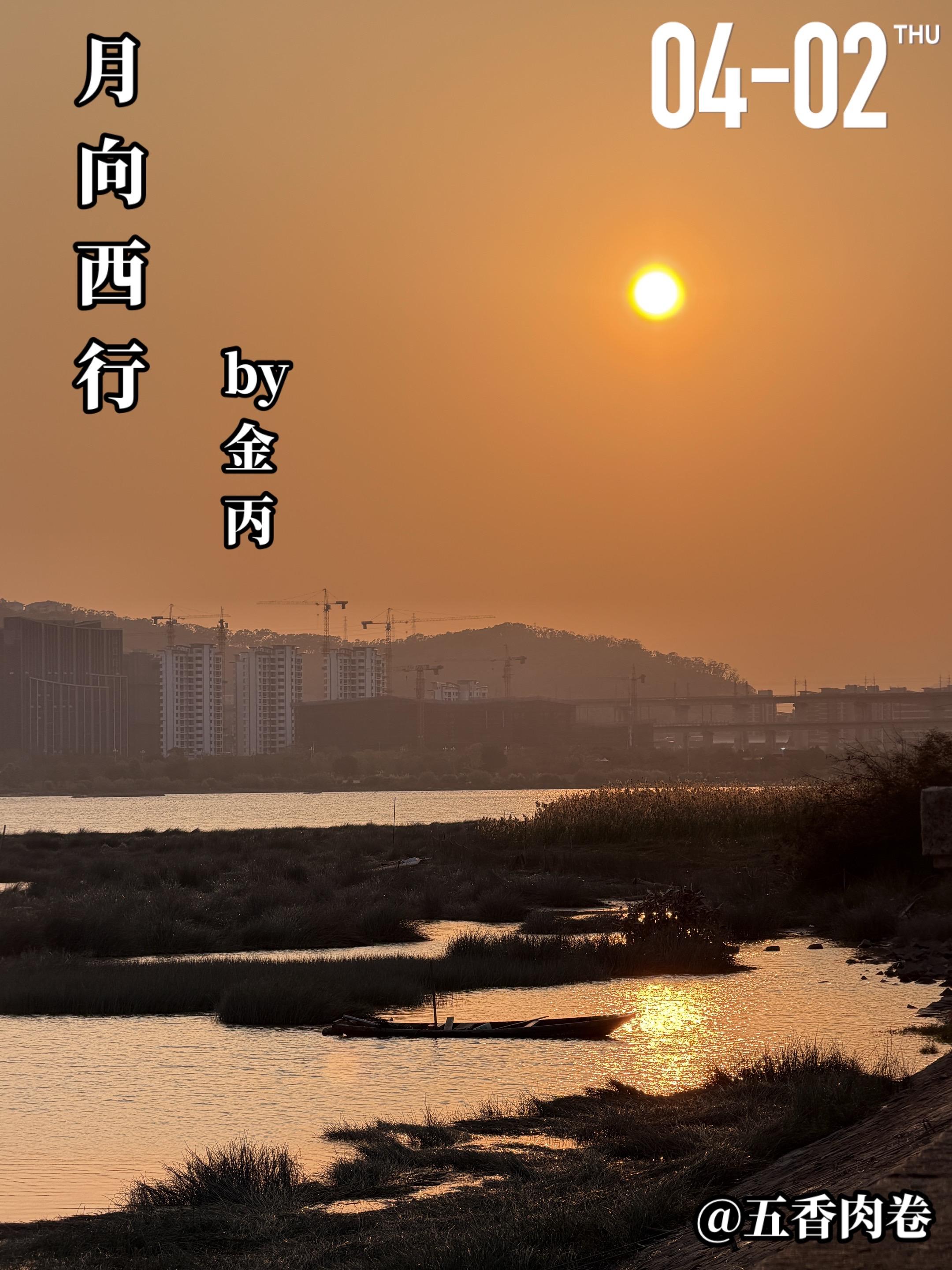 《月向西行》by金丙。陈兮（女主）出生在大山，父母皆是聋哑人，母亲去世...