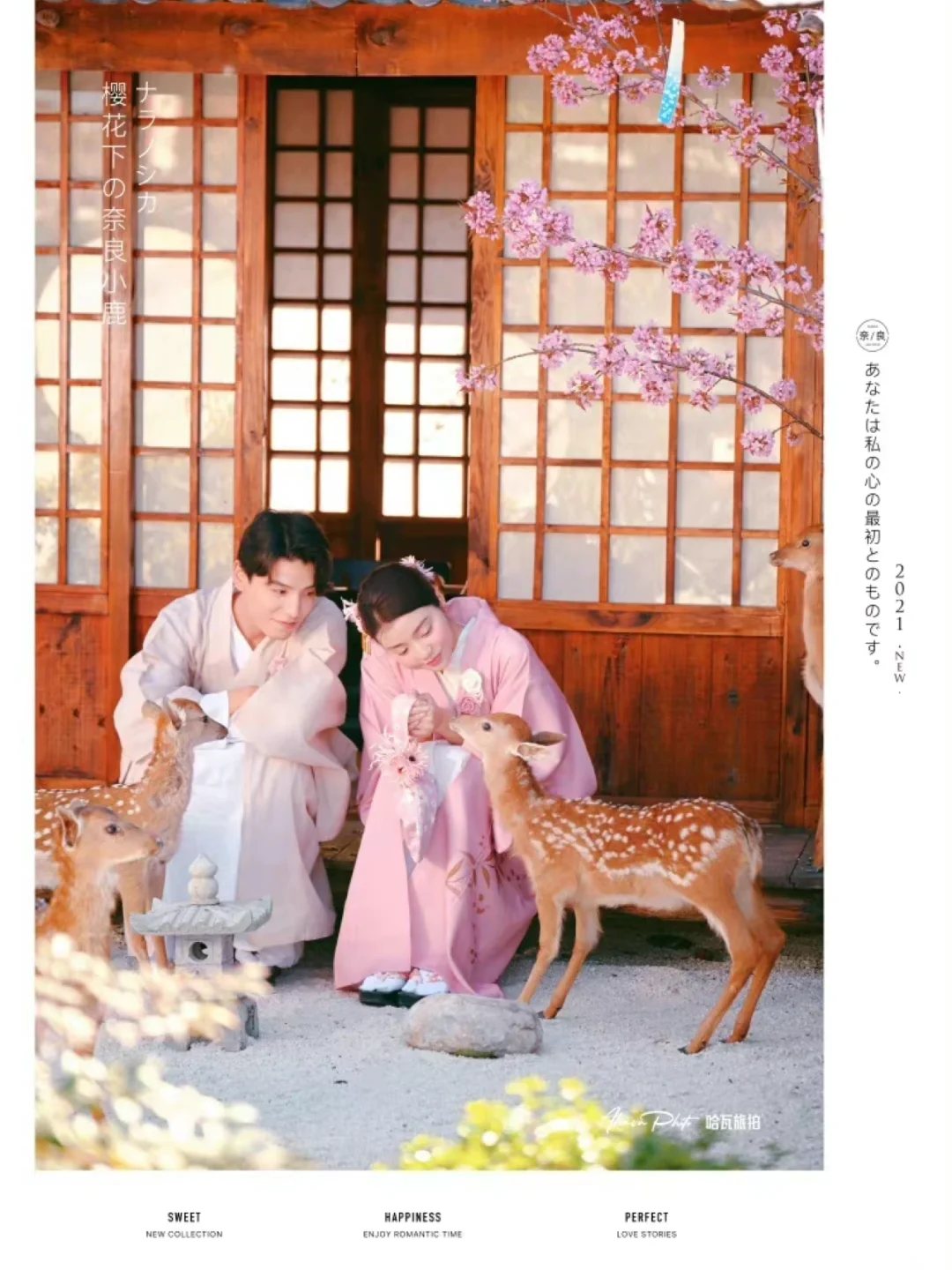 大理｜苍山下的温泉🌸超好拍日式和风庭院