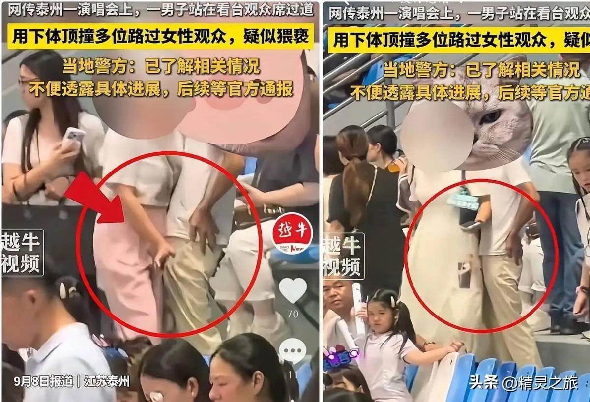 真够恶心人！看这穿着还真想不到能做出这么龌龊的事！演唱会本是放松的地方，居然有人