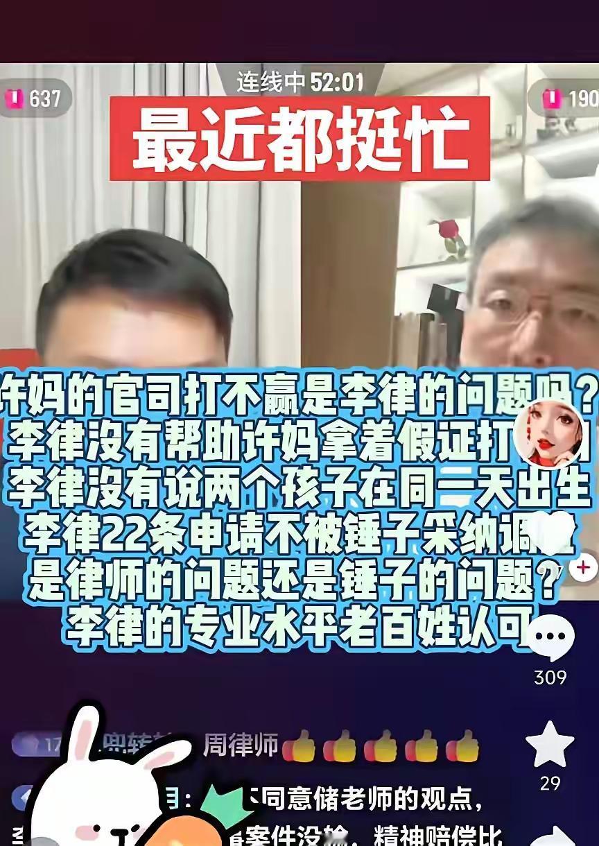 二八换子事件，许敏追查真相。
有人说许敏的官司打不赢，是请的老师没能力。
官司的