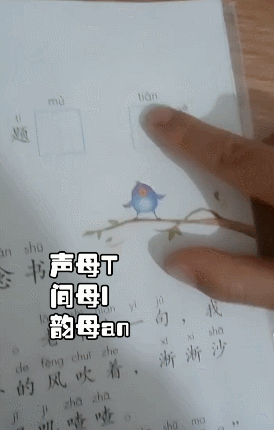 有位宝妈将孩子学拼音的视频晒出来，就见孩子自己用手指着拼音读“tian谈野”，真