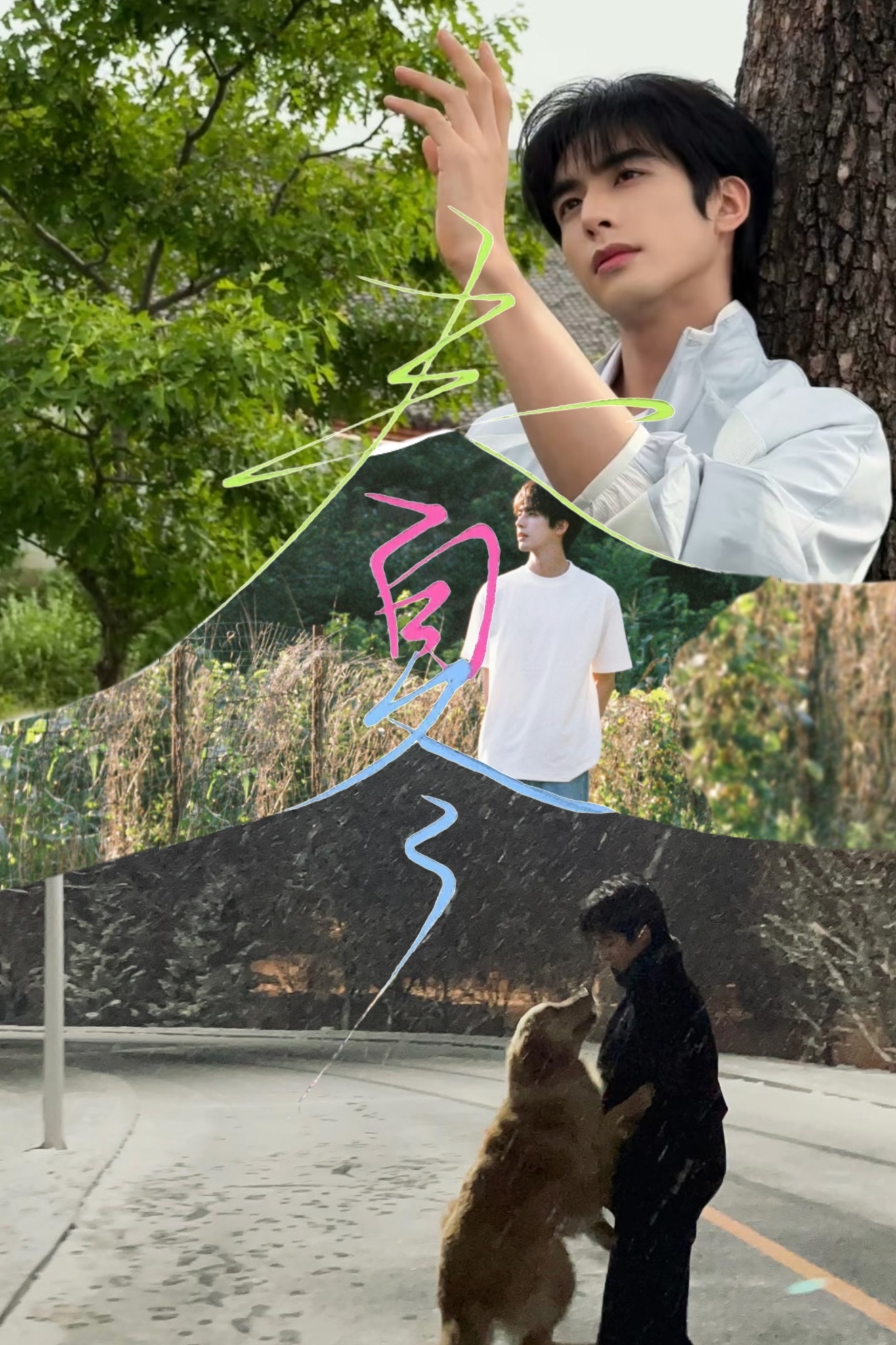 秋宋威龙