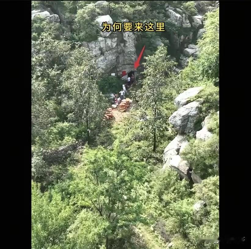 山里那伙人

完全不经扒

因为一扒你就会发现，他们不是什么可疑分子，而是村里请