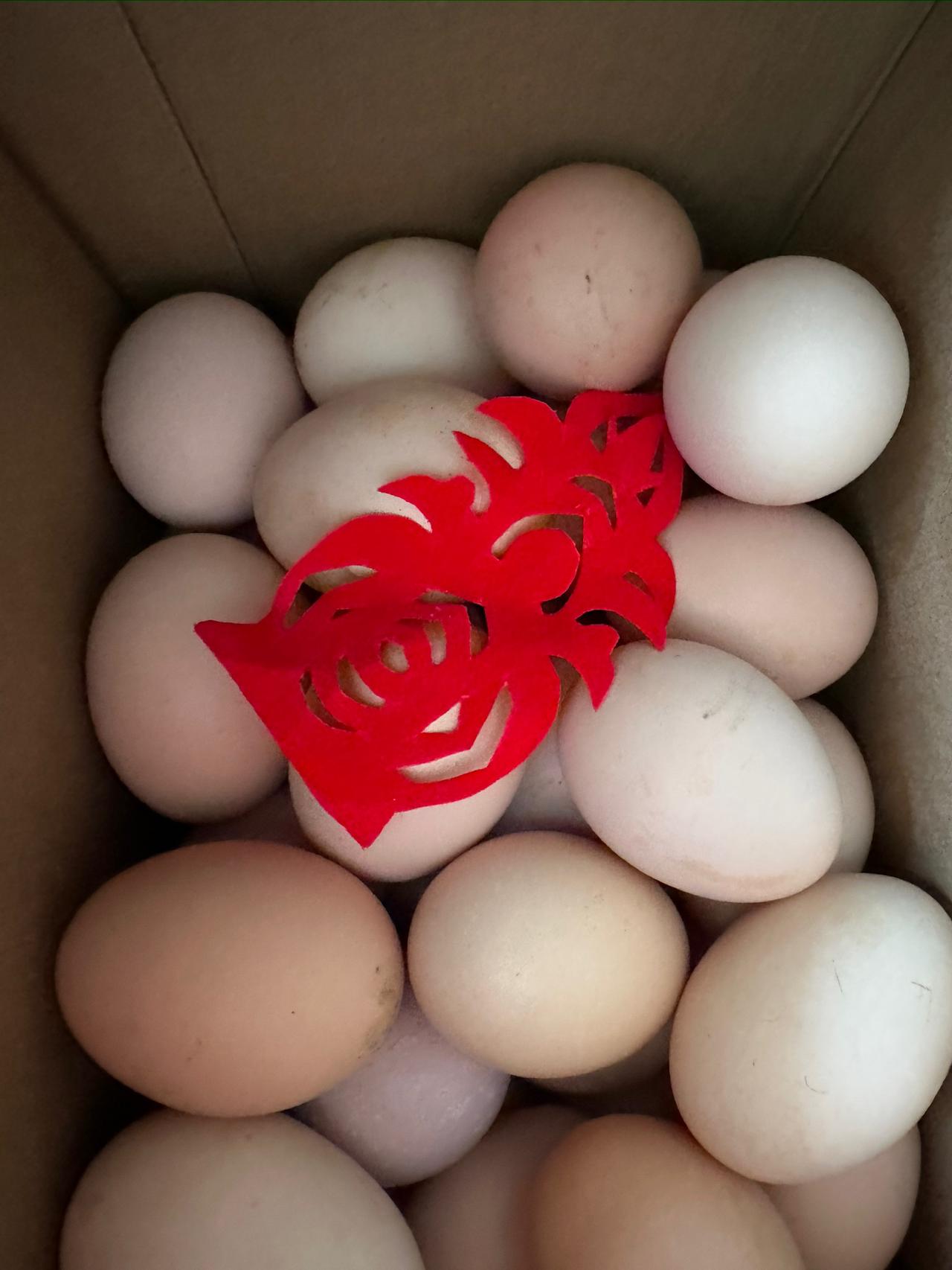 正月到了尾声，父母家里竟然来了拜年客，一来就来了两个拜年客！

一大早，首先到来