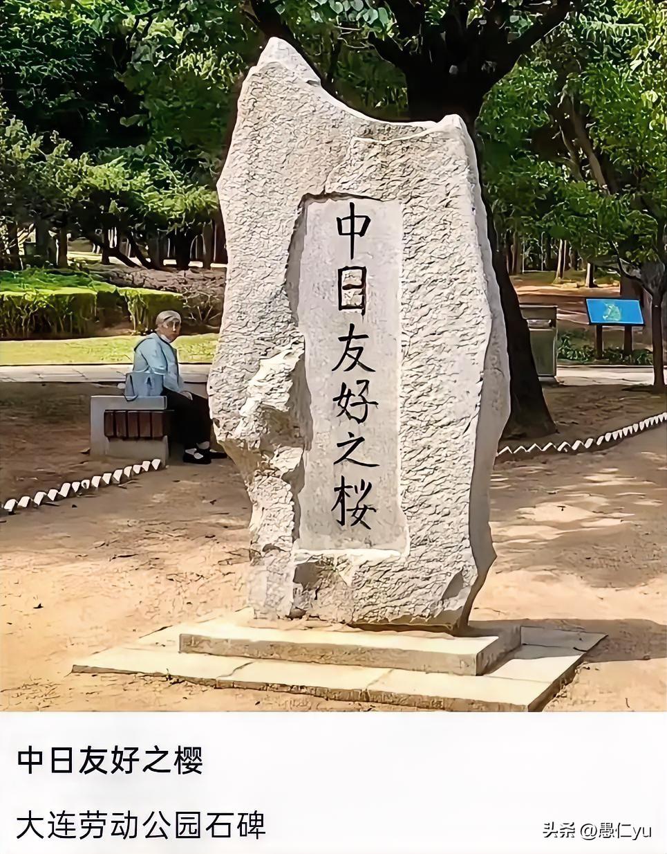 这块纪念两国友好的“中日友好之樱”石碑，现在看着是不是很扎眼！良好期待可以有，现