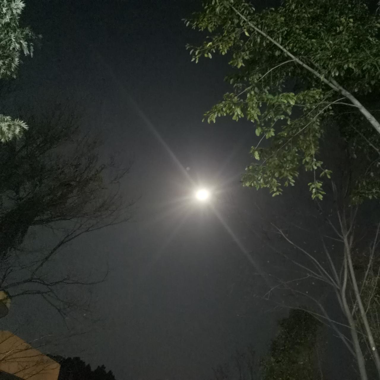 晒出相册里最好看的风景照