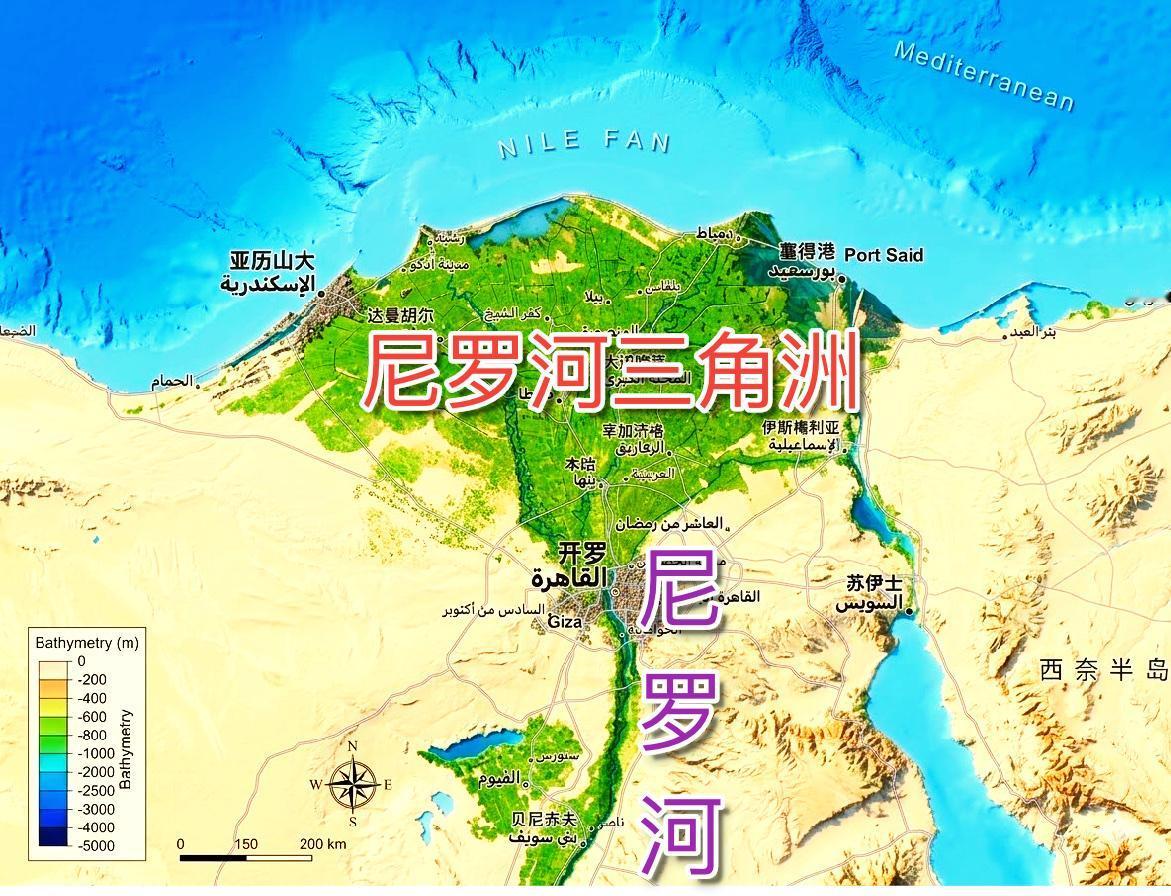 尼罗河三角洲：
它是埃及的"心脏”，为什么呢？
它面积约2.4万平方千米，仅占埃