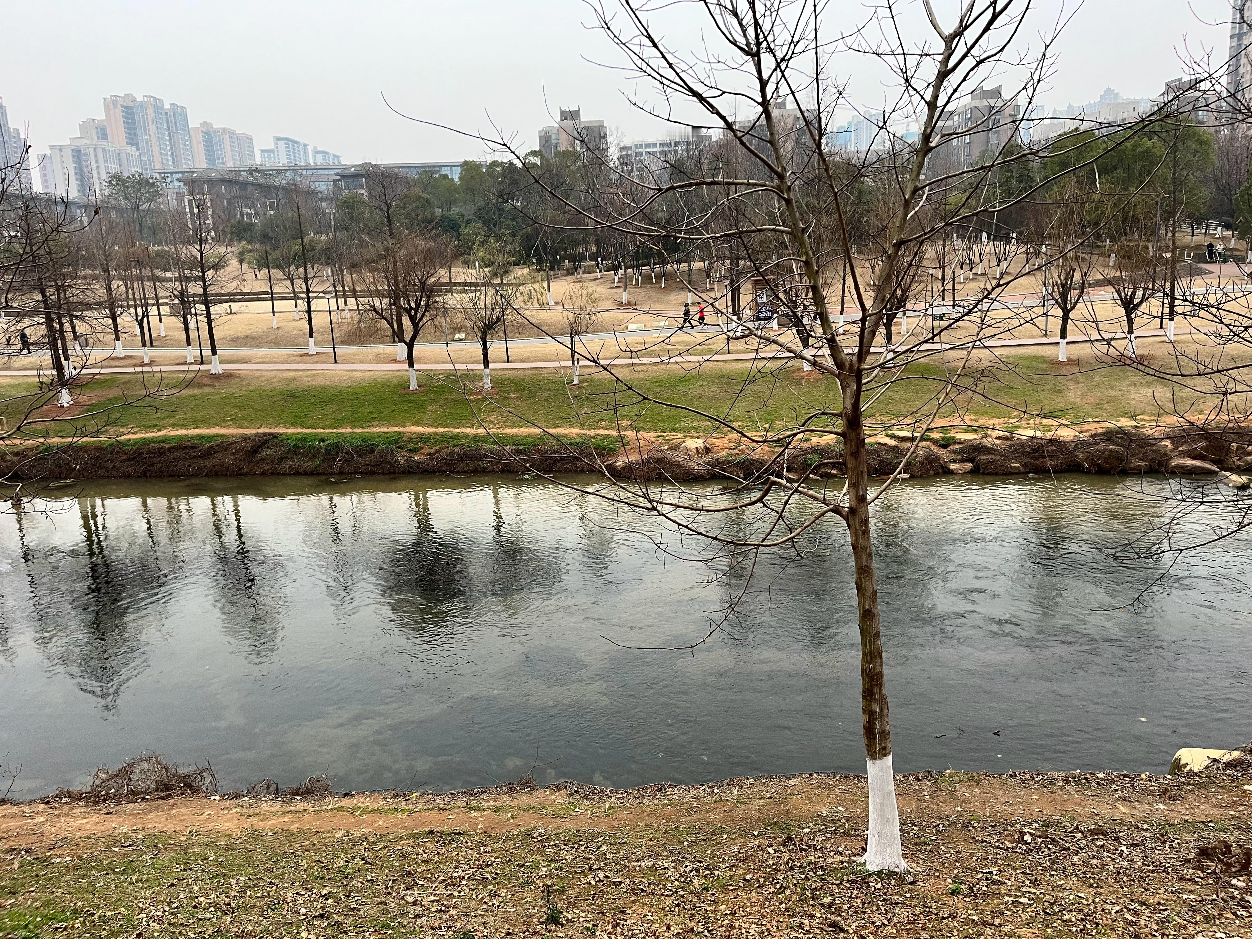 今天跑了个10公里跑步