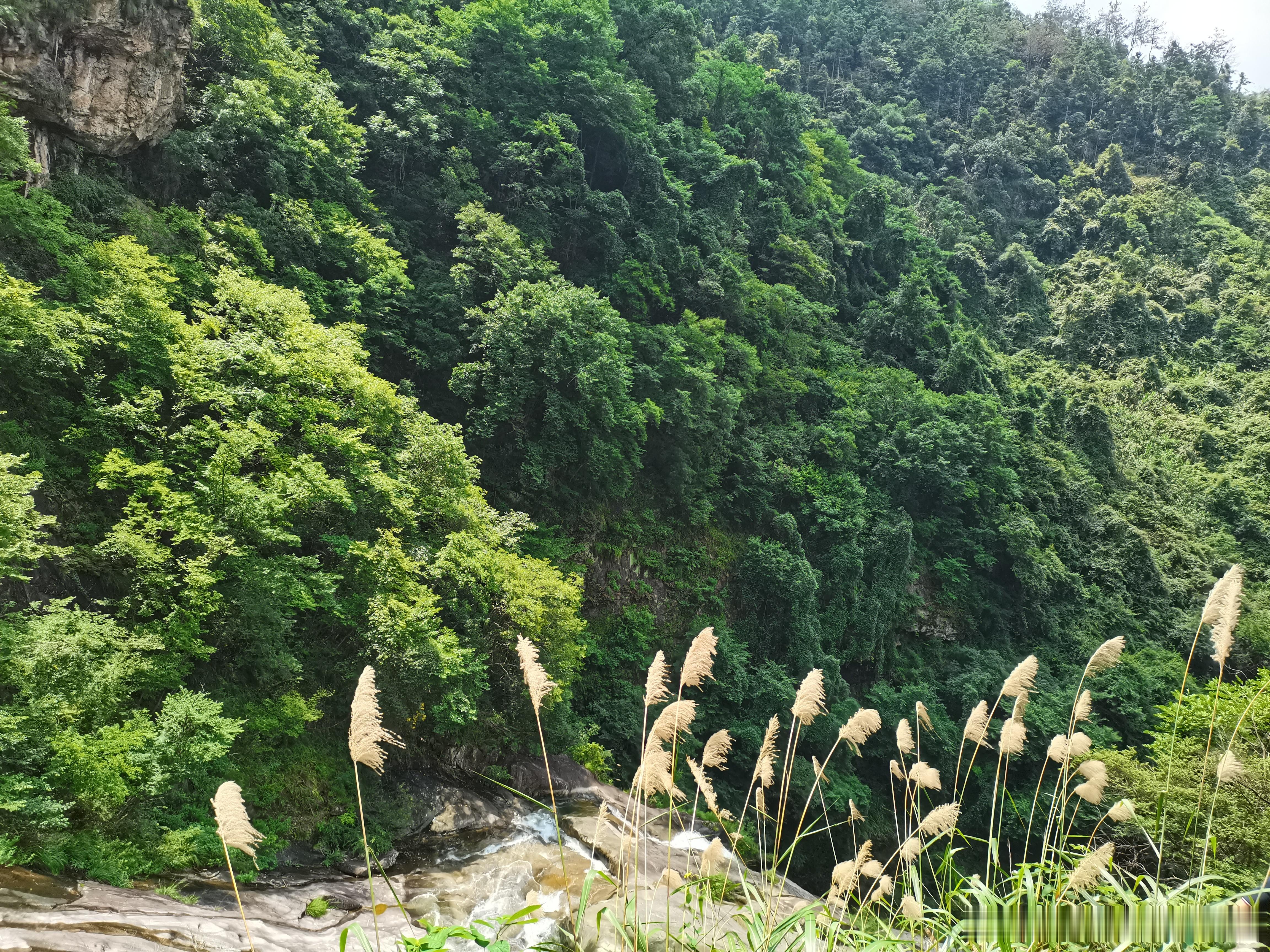 生活手记读书陆游的诗词选（一七四）水龙吟·荣南作樽前花底寻春处，堪叹心情全减。一