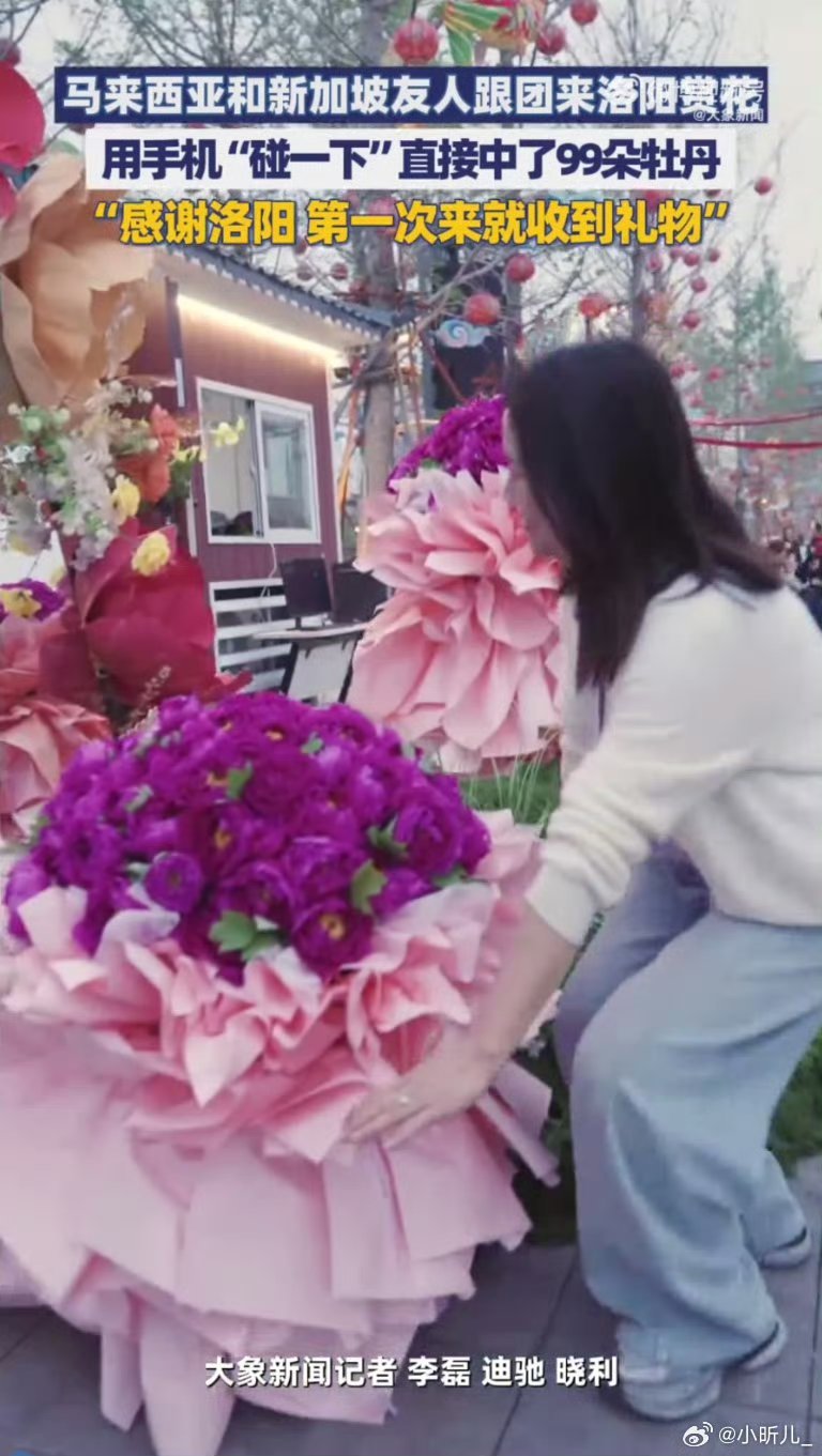 外籍友人组团来洛阳赏花外籍友人组团到洛阳赏牡丹。身着汉服穿梭花海，感受非遗魅力，