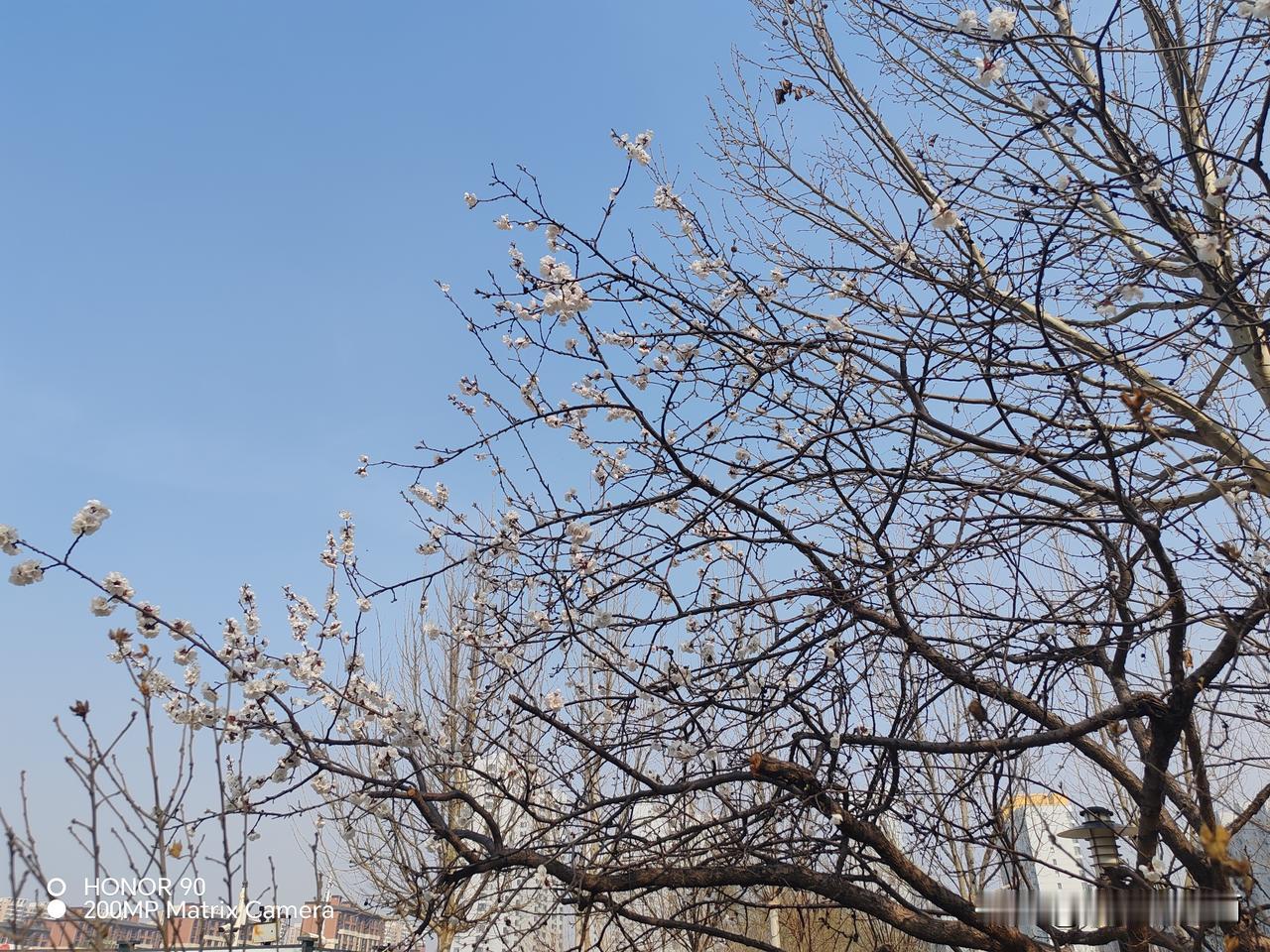 90年代，我在内蒙古某团当兵，当时部队还没有禁酒令，在日常的工作间隙，经常会有干