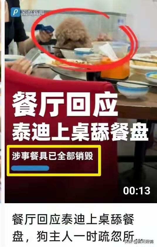 25年老店栽在一只泰迪身上？砸餐具道歉反被骂糊弄，这事到底冤不冤？

山西大同桃