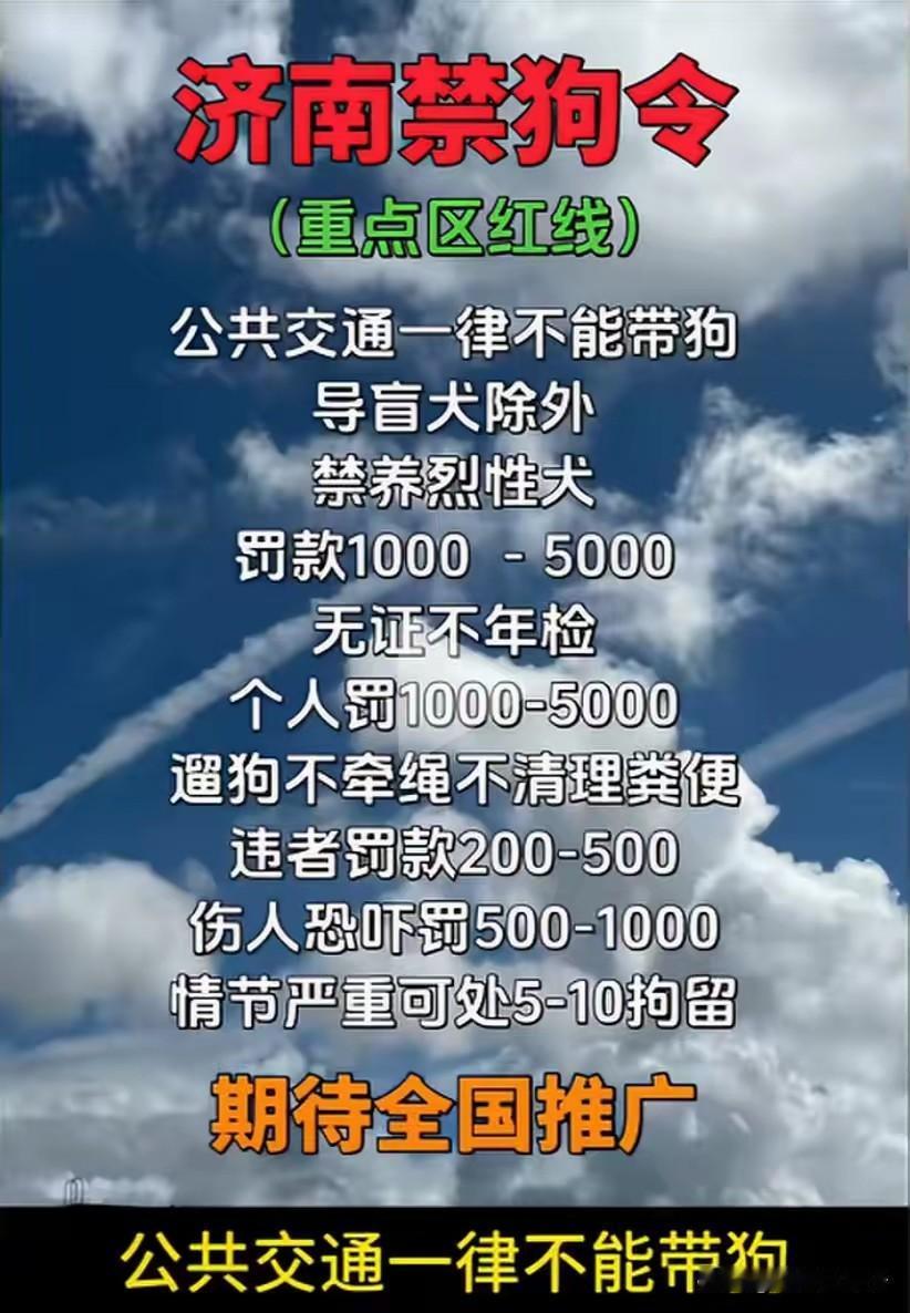 看了看山东各地对不文明养狗规定，没有一地规定不允许宠物狗进电梯的，只有潍坊一地规