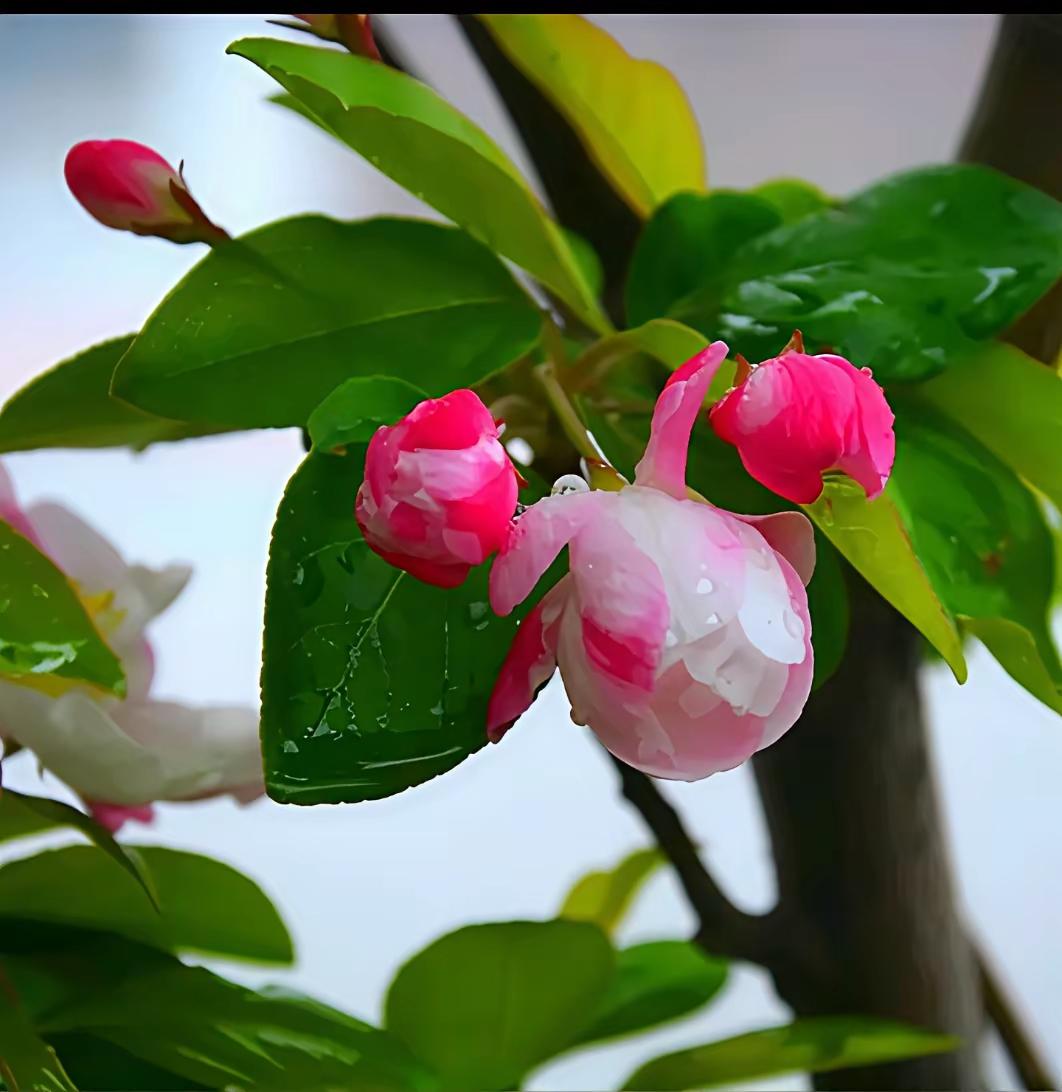 一个家越过越旺的十句箴言
 
1. 家和为贵，和气生福
一家人不争对错、不翻旧账