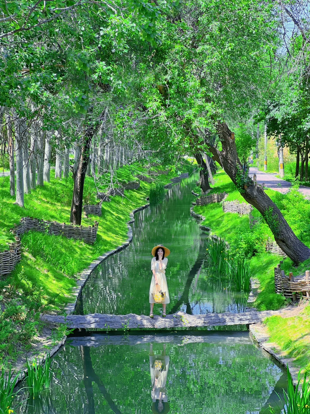 这片绿光森林🌳让我反复爱上北京的初夏🫧🍃