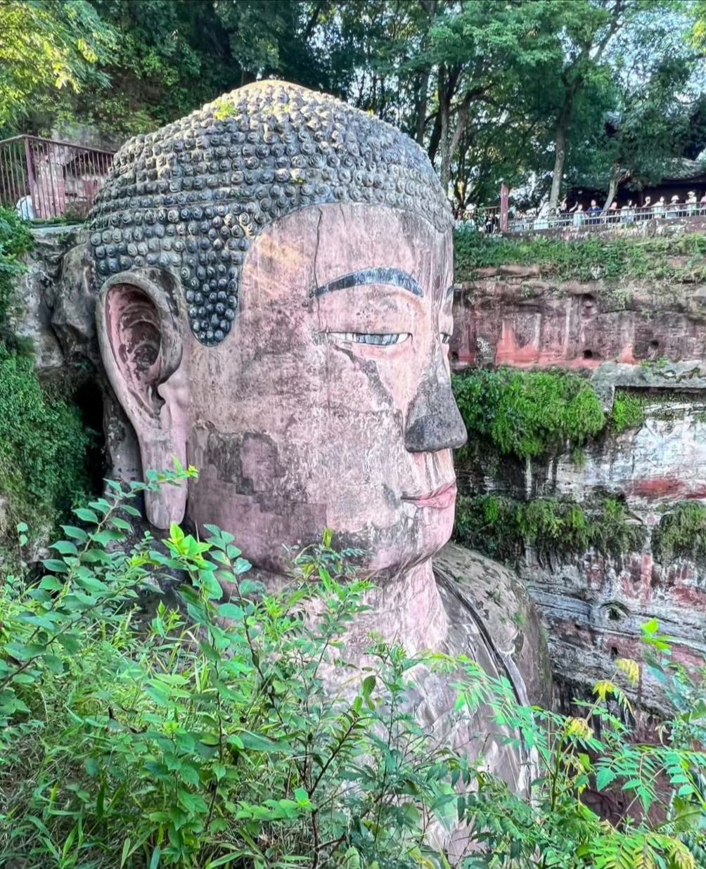 乐山大佛 刷到请不要无视 真的很灵~  转发接龙开新年