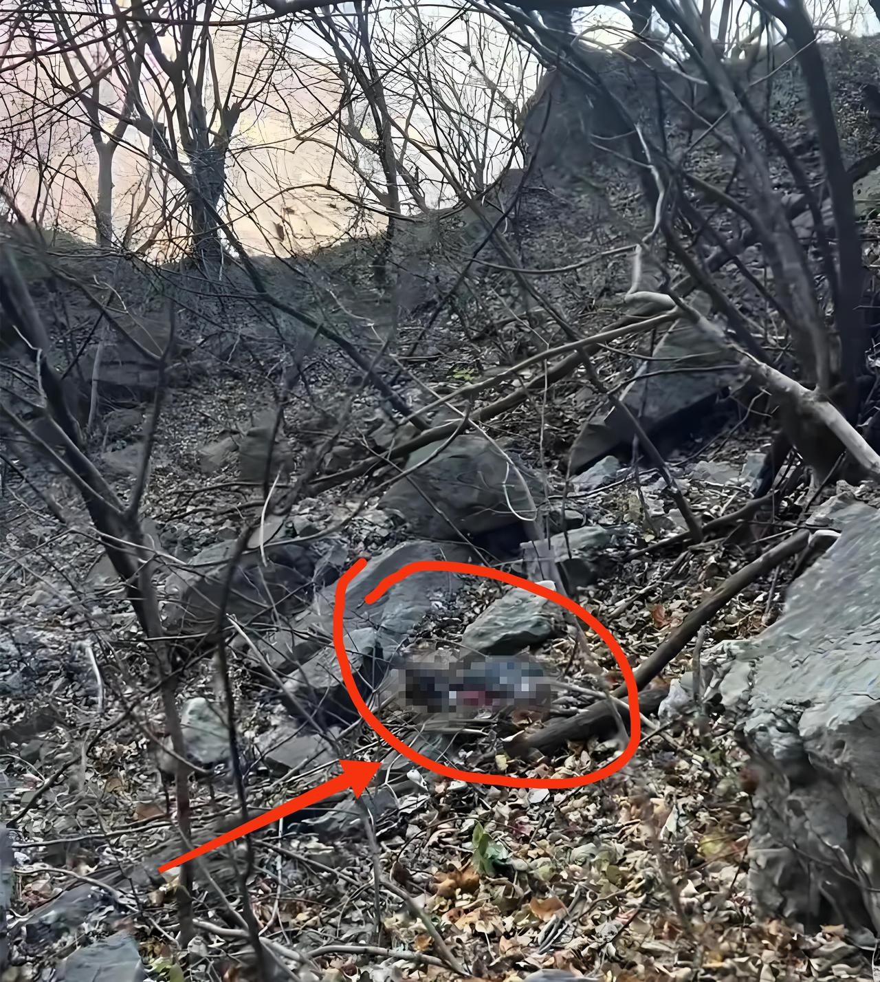 南太行上午峪商丘男子失踪后经历了什么？

​​根据今天中午找到的现场，救援队员勘