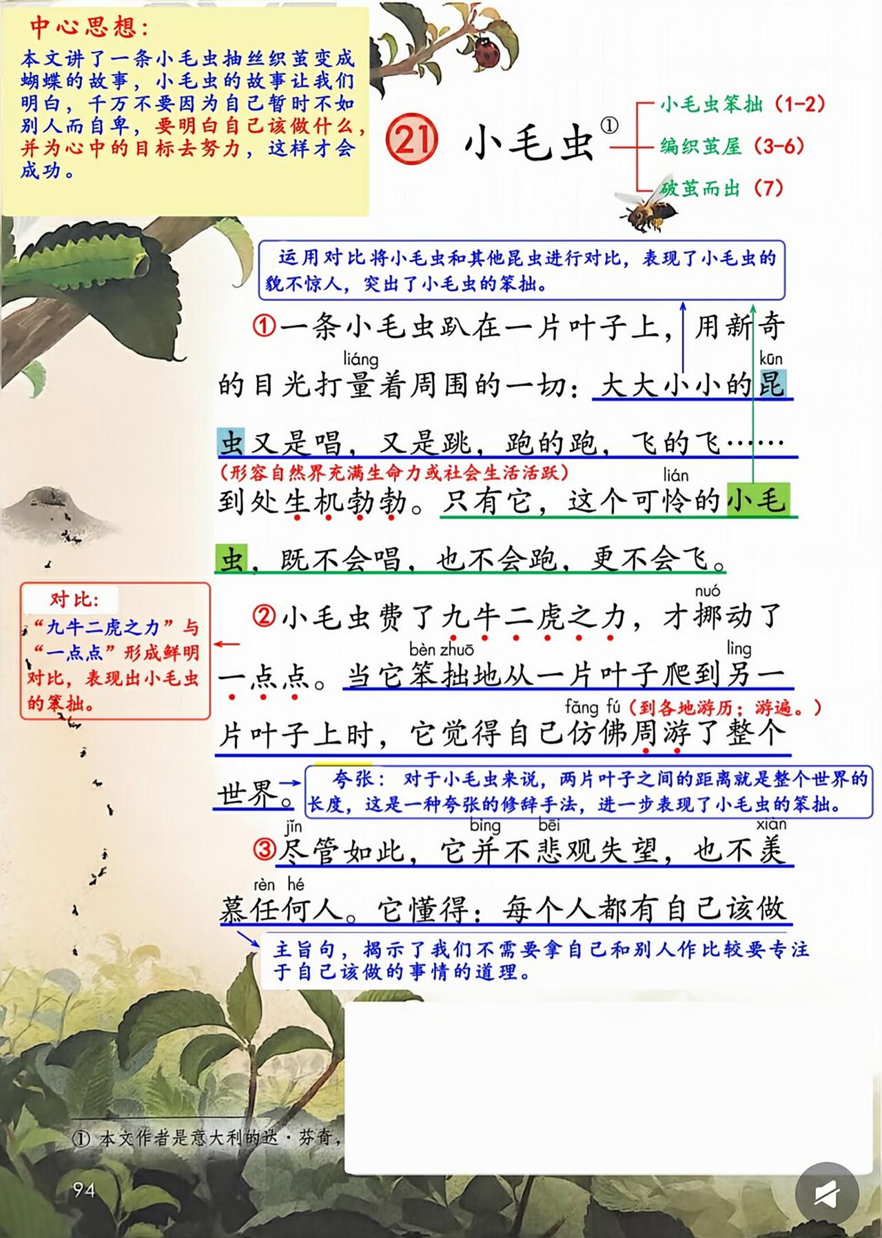 二年级语文下册，第21课《小毛虫》课堂学习笔记，收藏备用二年级语文