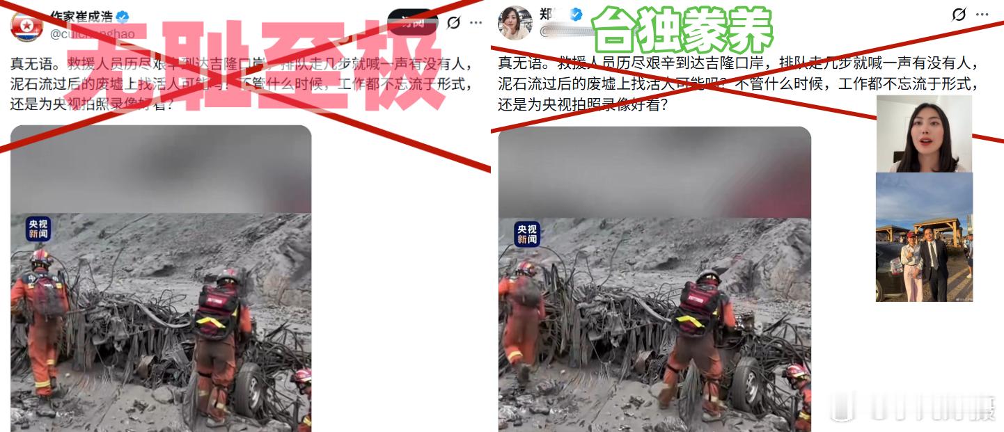 一只老贼疑还赖在中国内地，另一只母贼润到美国，它们造谣内容的标点符号都一模一样。