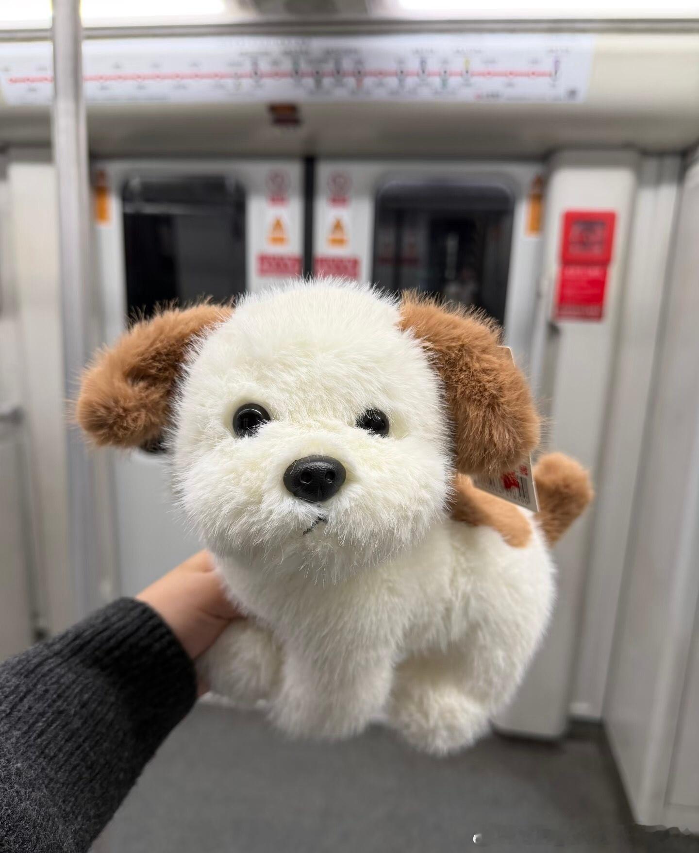 金鸡的吉祥物真还不如名创某品的小狗好看走 跟我回家