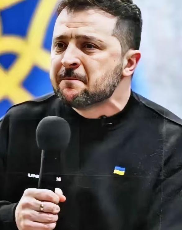 乌克兰议会，再投票了！330 票赞成，几乎全票！


当地时间 2026 年 1