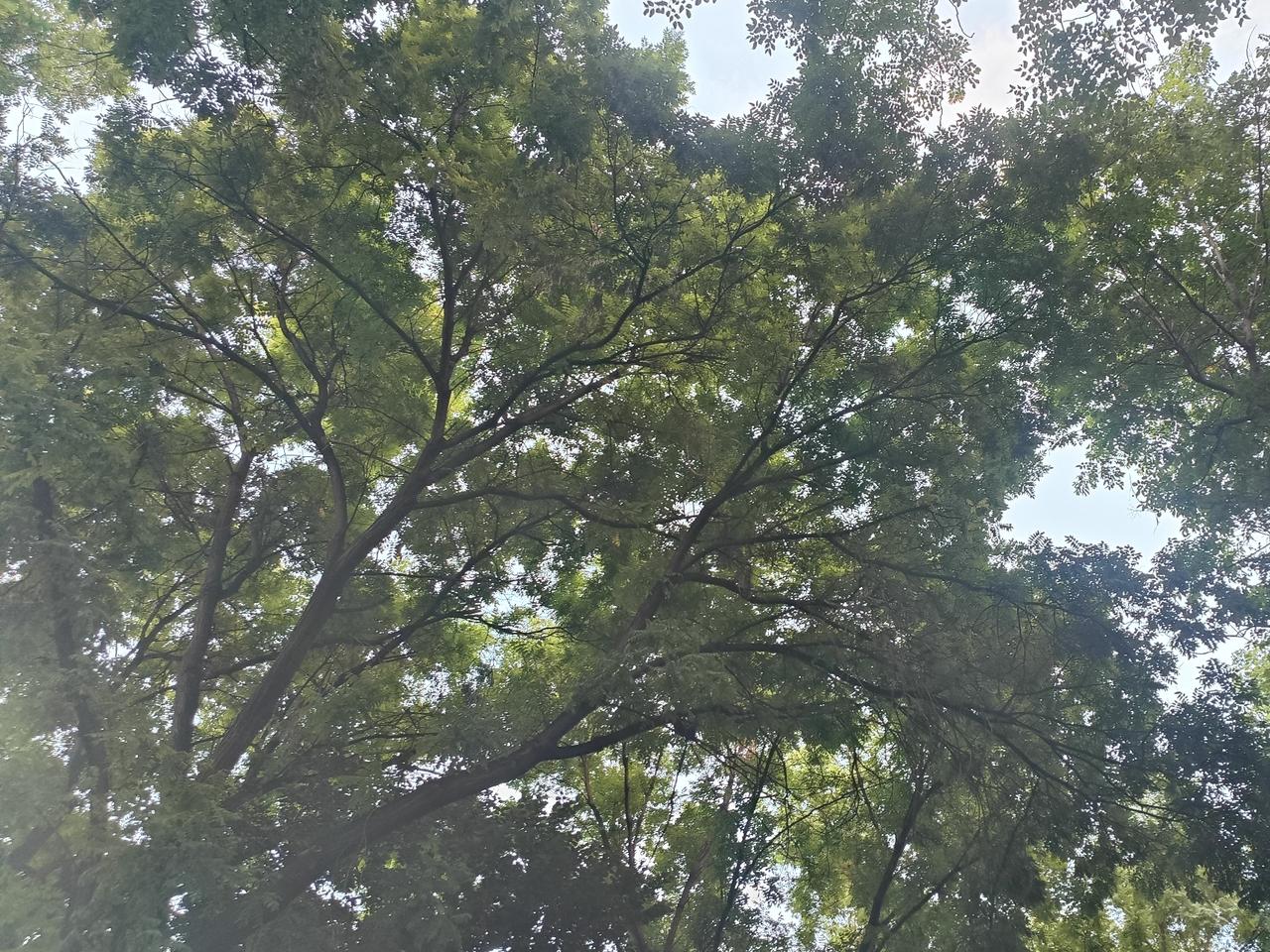 人生旅途，起起伏伏是常态，努力过就已足够，加油！