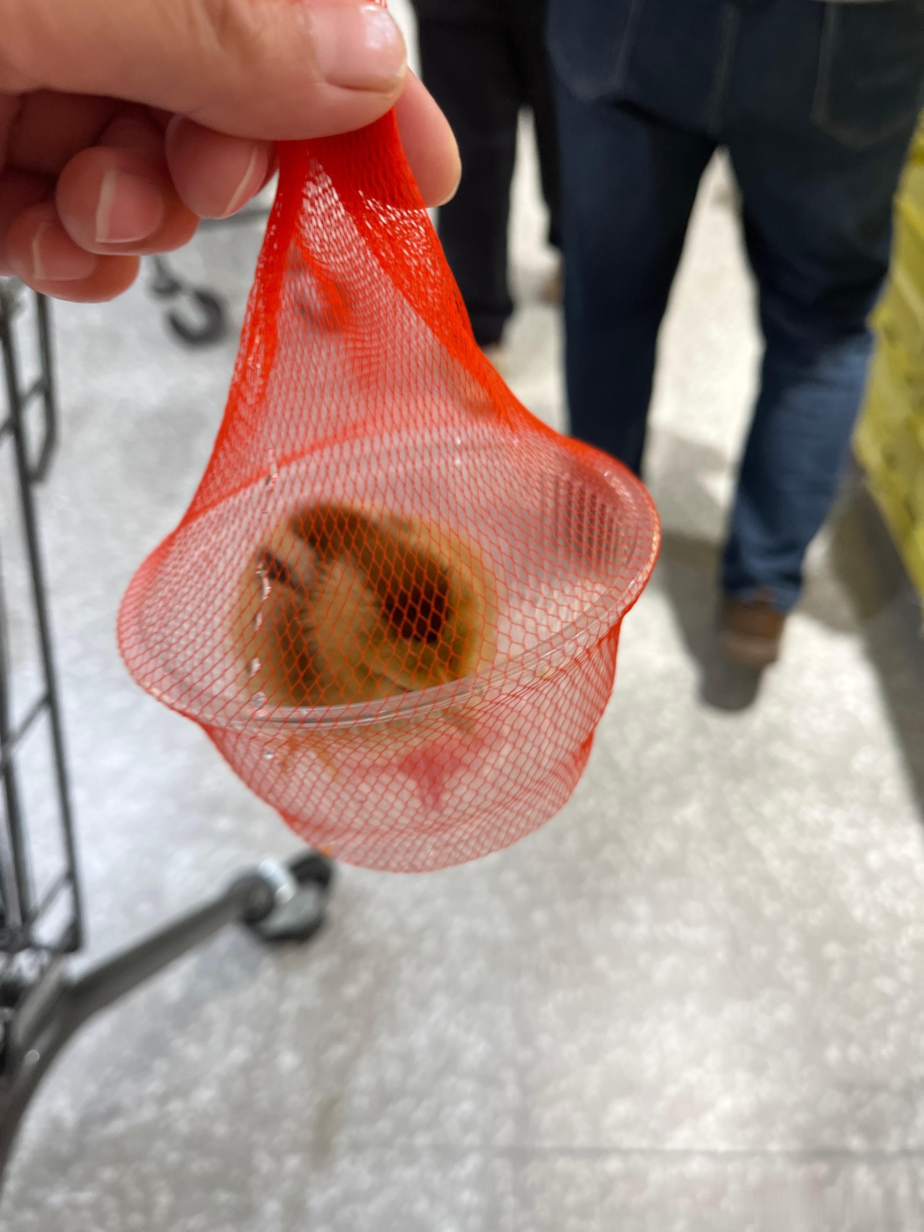 吃完饭，赶紧把它送回来卖鸡蛋这里，太吵了，一直在叫，休息一会，又叫，趁女儿还没放