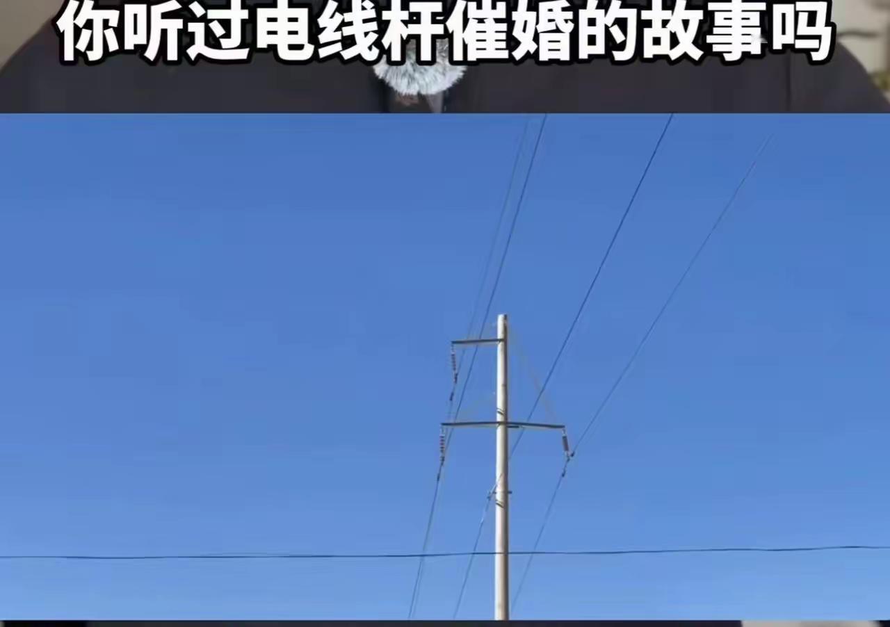 你绝对想不到，供电局的回复让这位父亲当场懵了！而背后折射出的中国式催婚焦虑，戳中