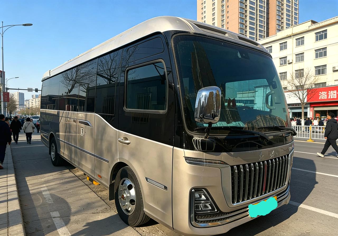 国内如红旗国悦这样的车其实还有几款。比如宇通的S16黄海的n270金融的 p 3