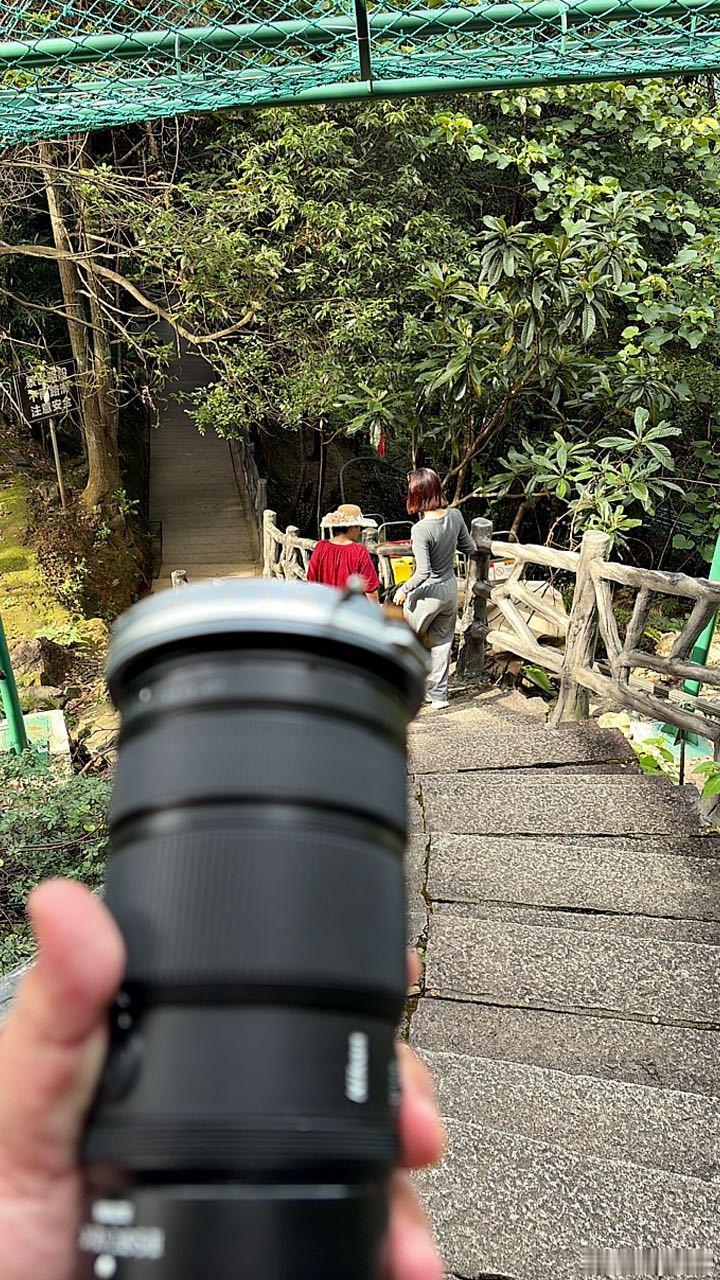 九龙漈景区有规定，粉丝≥3w的博主免门票同行的人全部半价，也是让咱掏着了